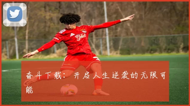 奋斗下载：开启人生逆袭的无限可能