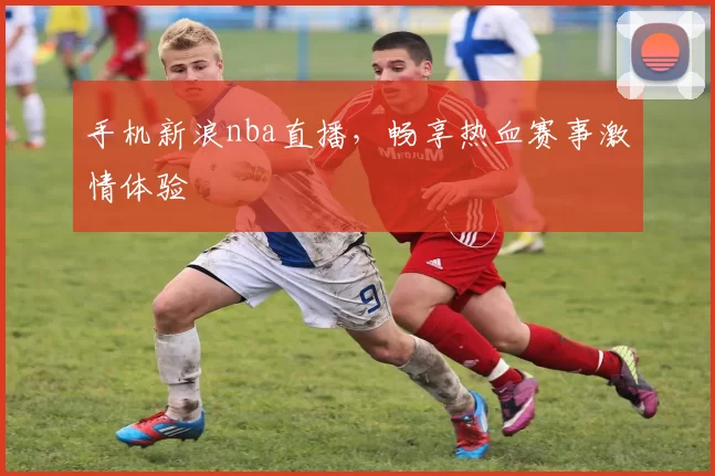 手机新浪nba直播,畅享热血赛事激情体验
