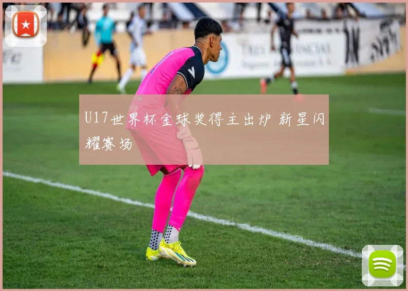U17世界杯金球奖得主出炉 新星闪耀赛场