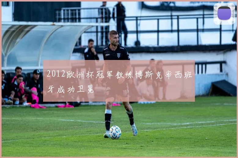 2012欧洲杯冠军教练博斯克率西班牙成功卫冕